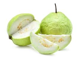 Thai Guava Fruit Plant Manufacturer & Supplier in India